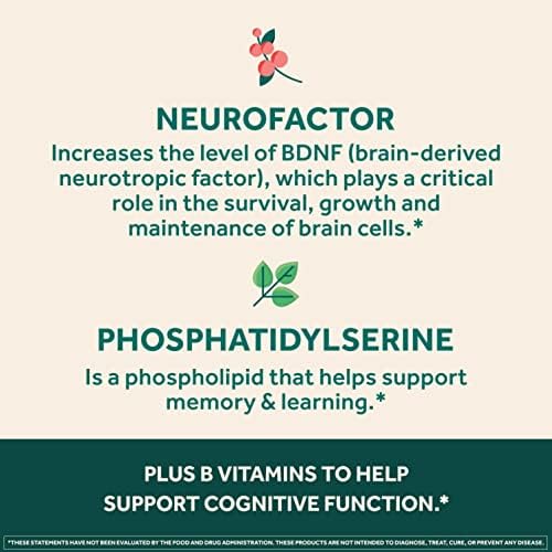 Neuriva Ultra Decaf – 60 caps, nootropic for memory, focus & alertness. With Neurofactor, Cognivive, PS, B6 & B12