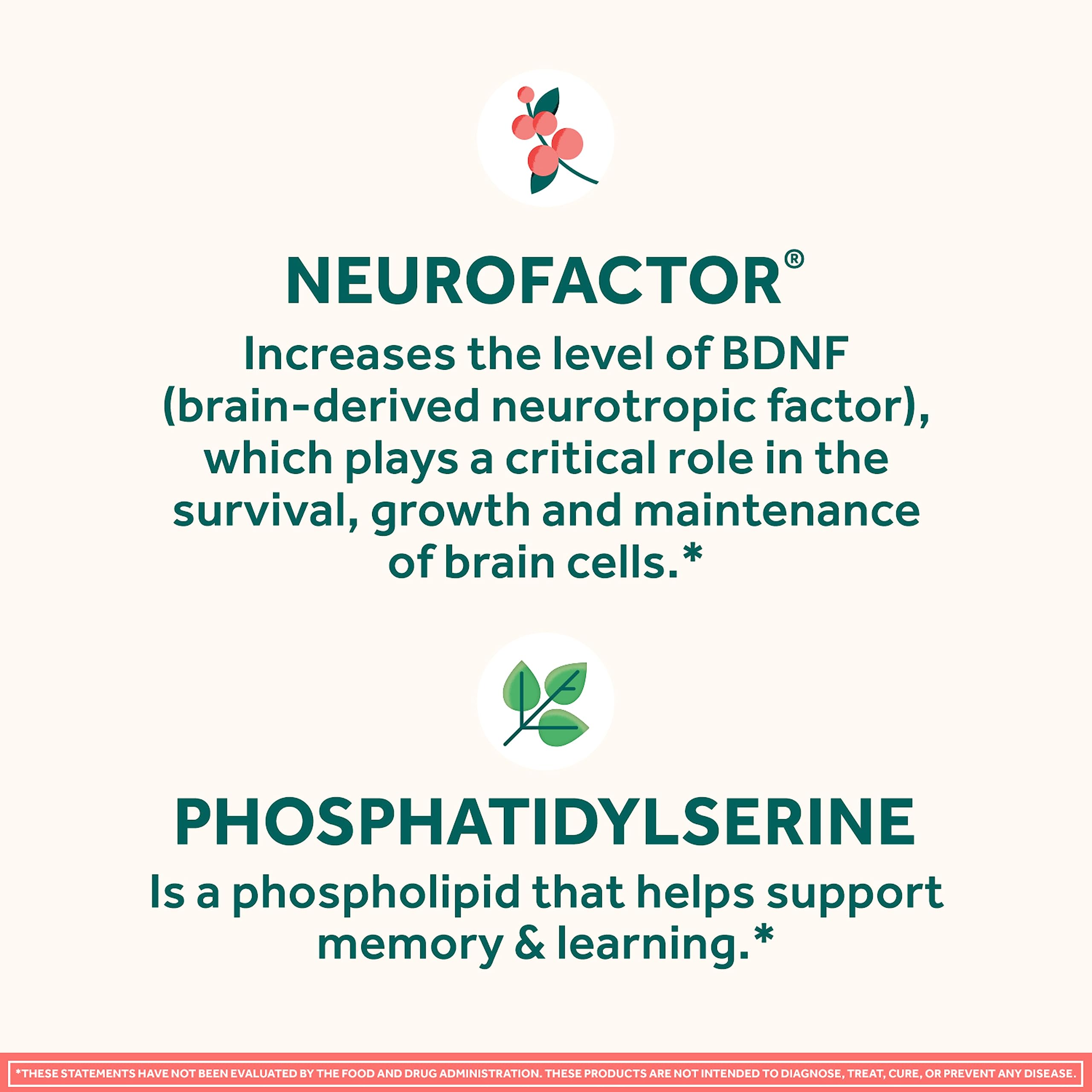Neuriva Original Decaf – 28 caps, nootropic for memory, focus & concentration. With NeuroFactor & Phosphatidylserine